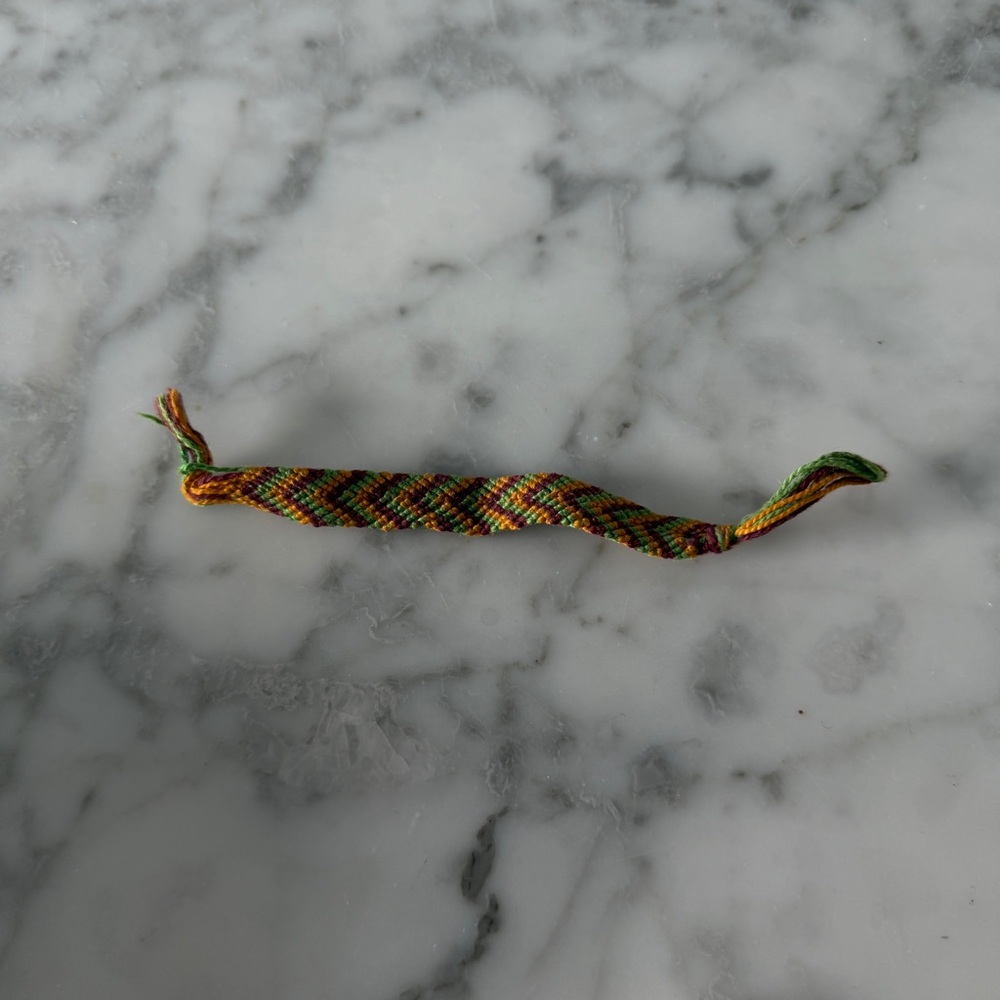 Colorful Woven Reptile Leash**